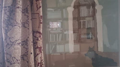 20251005_164110.jpg