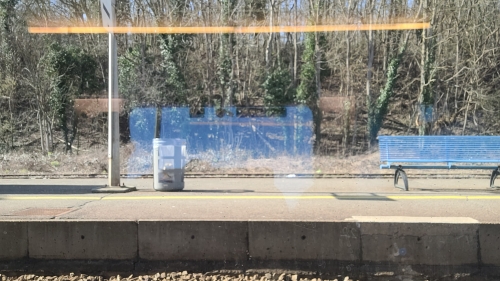 20250306_130338.jpg