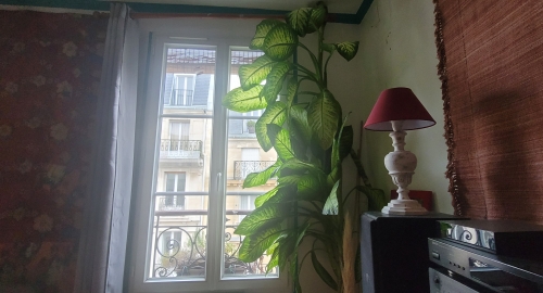 20250128_115344.jpg