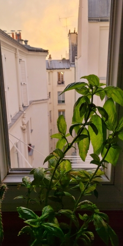 20250831_202529.jpg