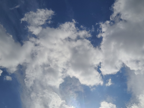20260512_174107.jpg
