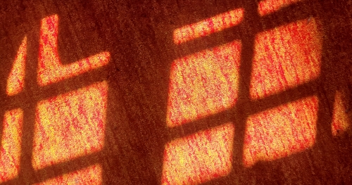 20250430_115927.jpg
