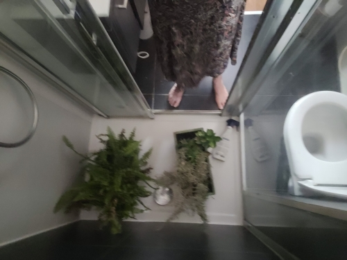 20260630_160714.jpg
