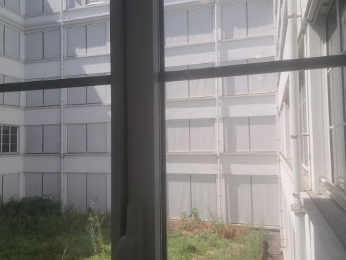 20260729_143611.jpg