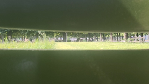 20250515_101441.jpg