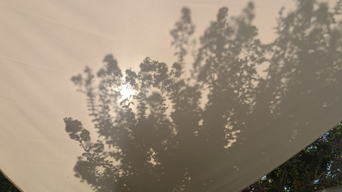 20250905_141916.jpg