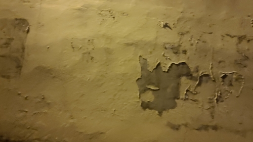 20250829_214846.jpg