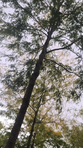 20250916_164426.jpg