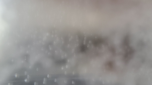 20241024_140546.jpg