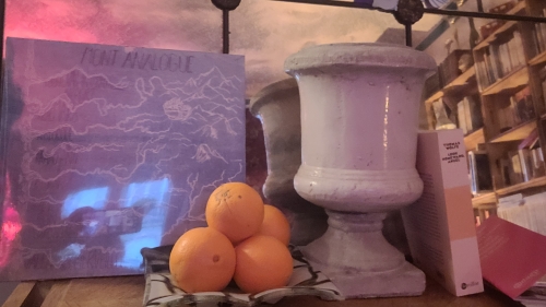 20250426_205613.jpg