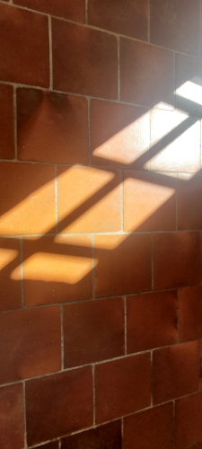 20241005_132304.jpg