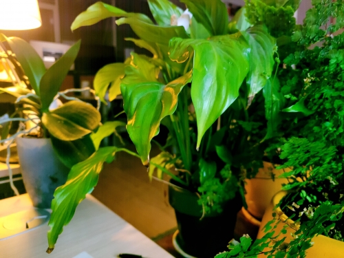 20240703_070447.jpg