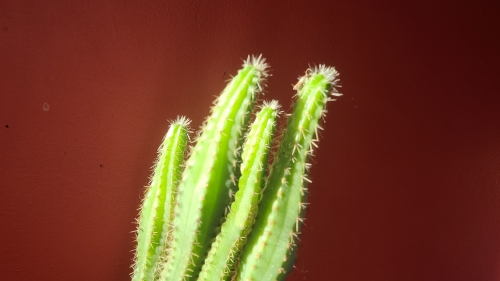 20241104_131838.jpg