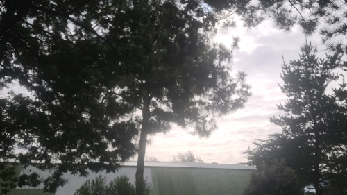20250928_120459.jpg