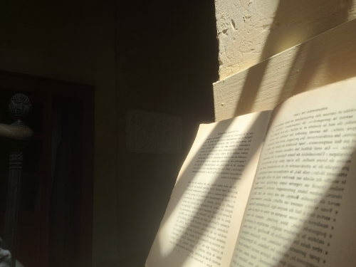 20260719_161327.jpg