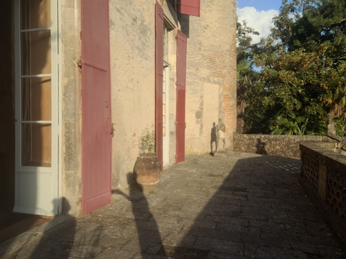 20260717_202033.jpg