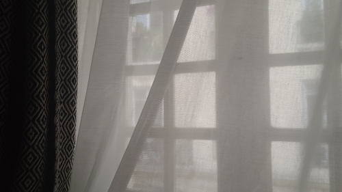 20250605_080506.jpg