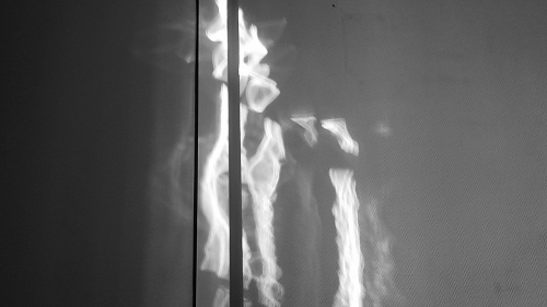 20250417_190717.jpg