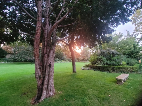 20240814_210646.jpg