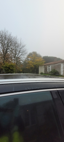 20241101_084220.jpg