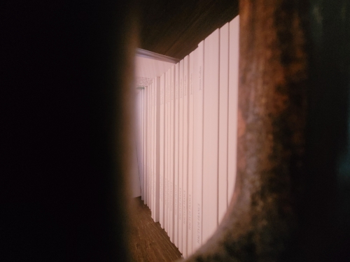 20240625_105250.jpg