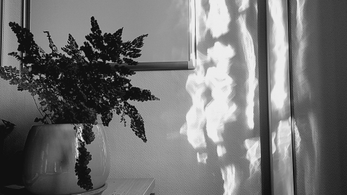 20240821_190856.jpg